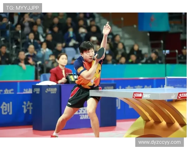 乒乓球运动的发展历程与技术创新对全球体育文化的影响分析