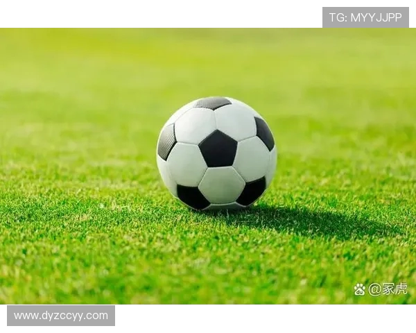 绿茵逐梦激情燃烧探秘世界足球背后的荣耀与奋斗