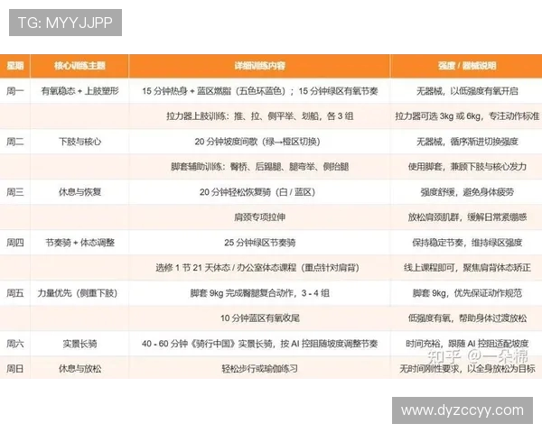 全面提升体能与健康：从基础力量训练到高效燃脂计划的全方位健身指南