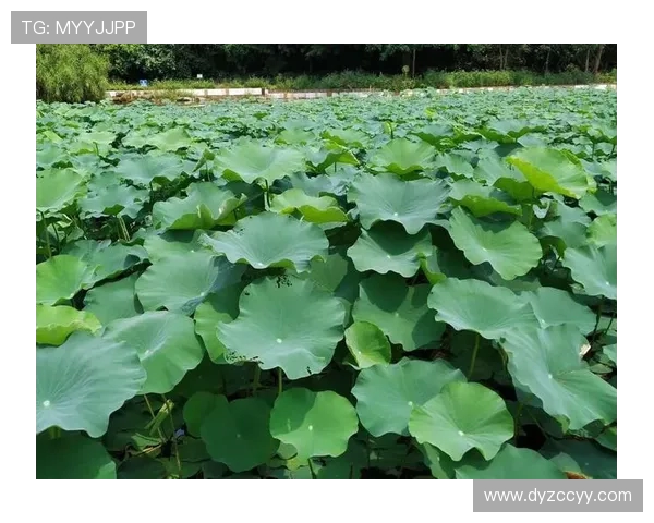 舞动人生的节奏与梦想刘娜的街舞故事与心路历程